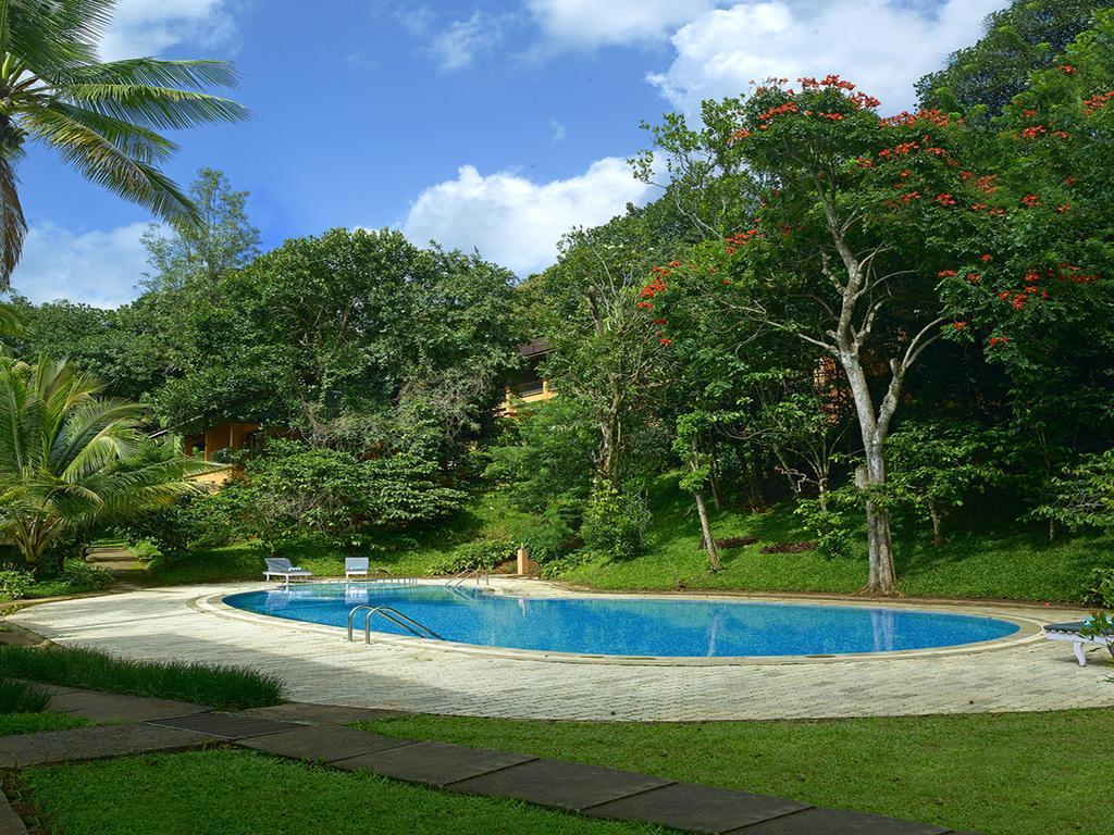 Abad Green Forest Thekkady Kumily Ngoại thất bức ảnh