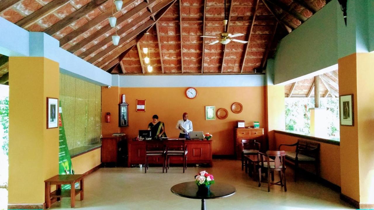 Abad Green Forest Thekkady Kumily Ngoại thất bức ảnh