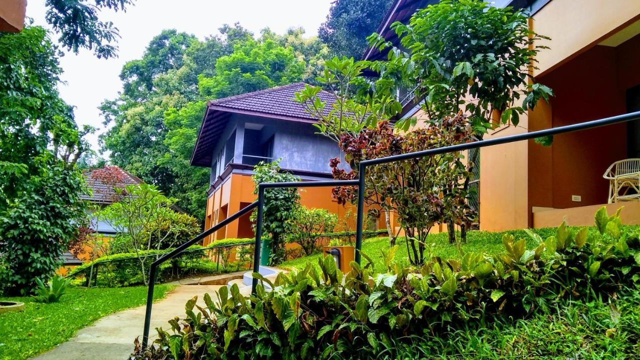 Abad Green Forest Thekkady Kumily Ngoại thất bức ảnh