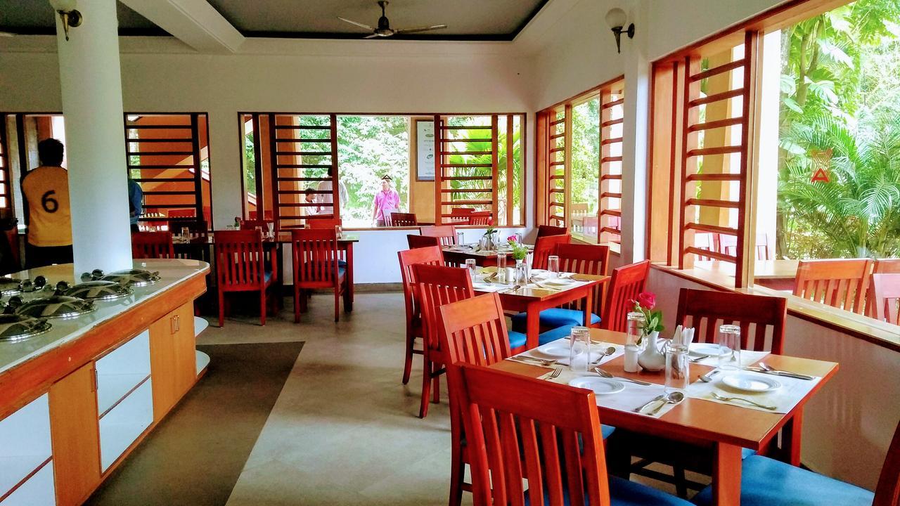 Abad Green Forest Thekkady Kumily Ngoại thất bức ảnh