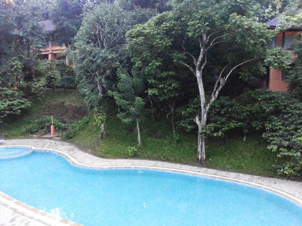 Abad Green Forest Thekkady Kumily Ngoại thất bức ảnh