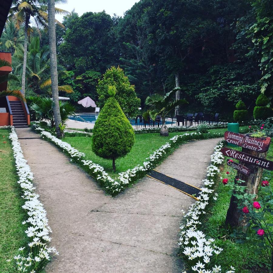 Abad Green Forest Thekkady Kumily Ngoại thất bức ảnh